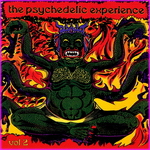 The Psychedelic Experience Vol 2