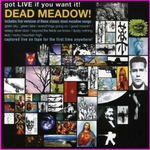 Dead Meadow - Got Live If You Want It!