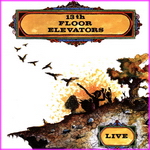 The 13th Floor Elevators - Live