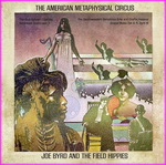 Joe Byrd And The Field Hippies - The American Metaphysical Circus